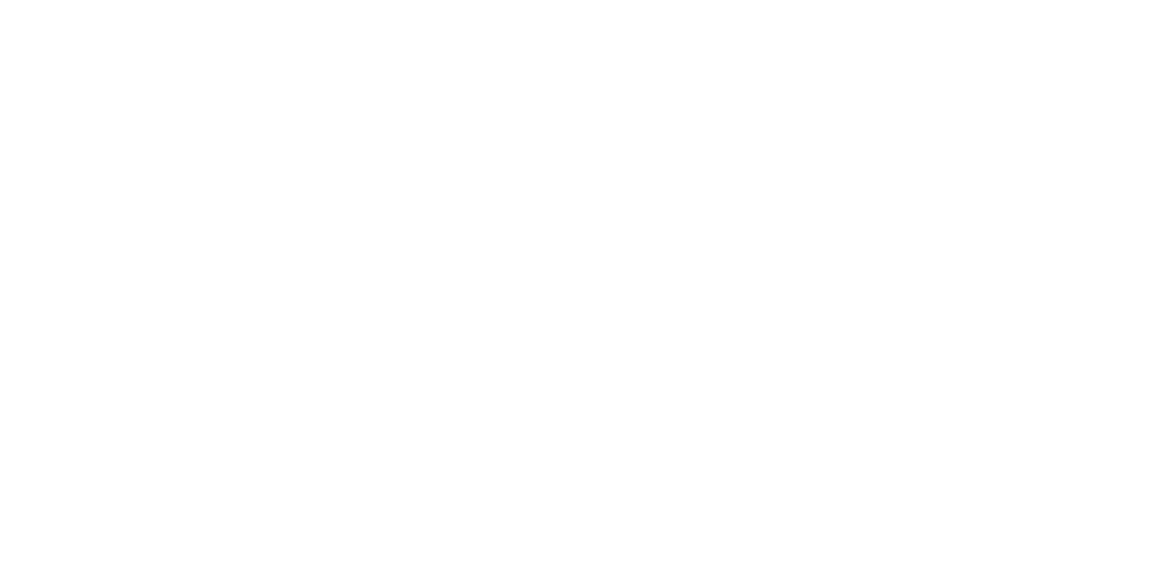 instinctive Store